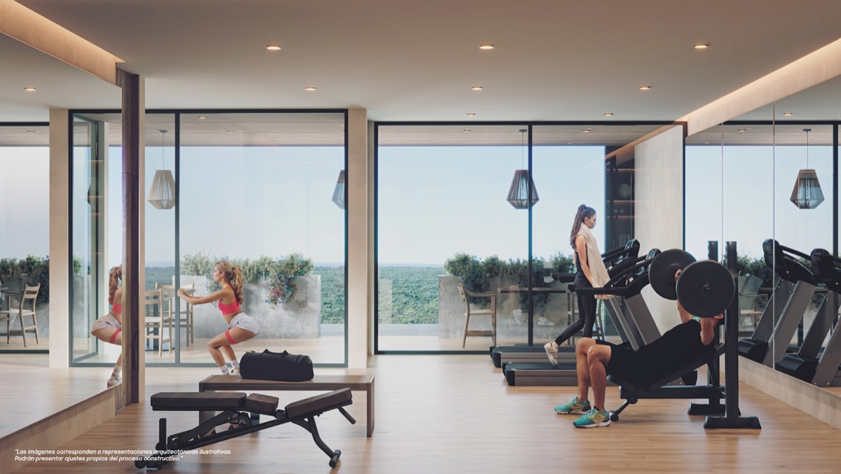 Gimnasio